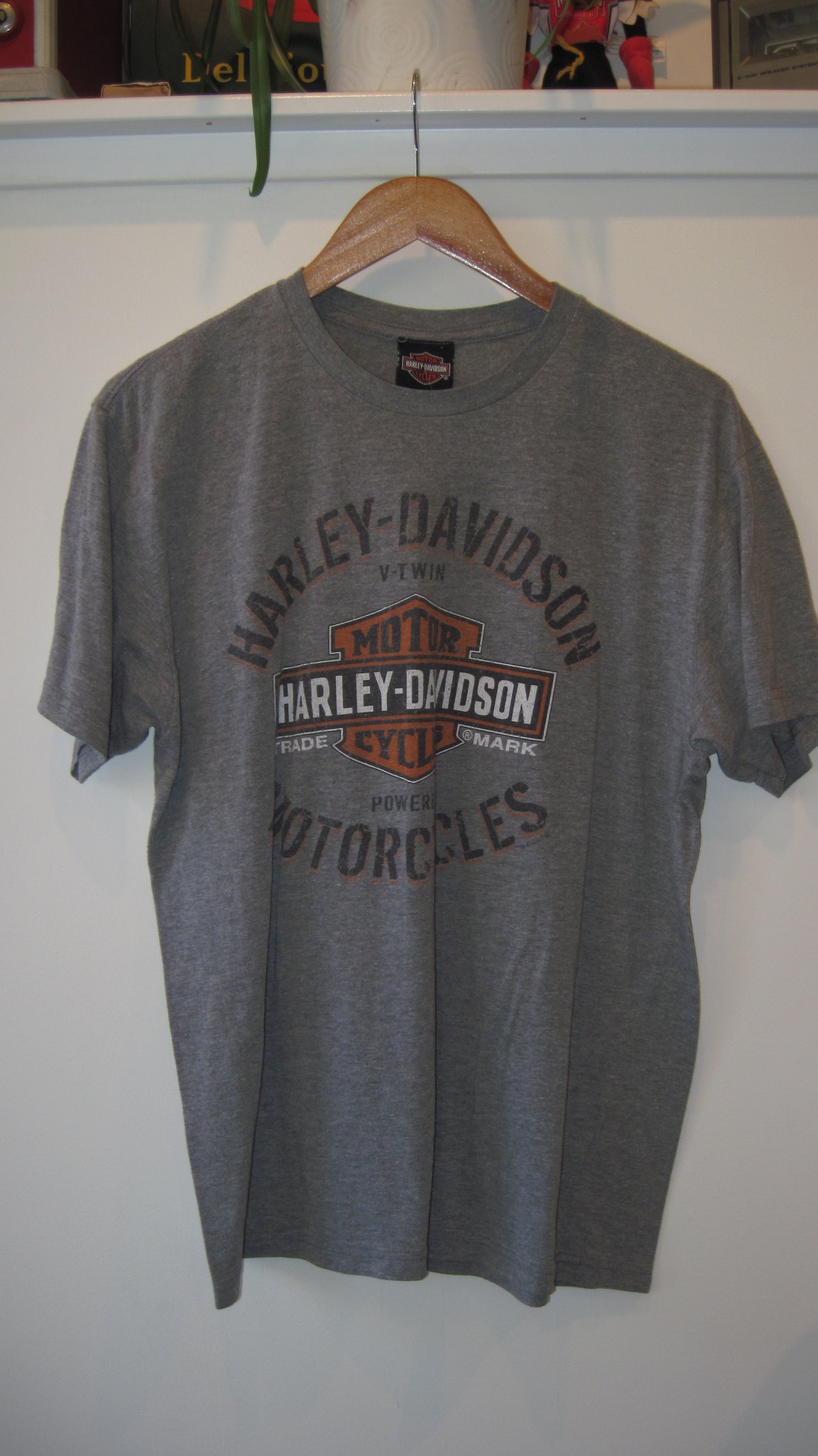 Harley Davidson Mad Boar Tee