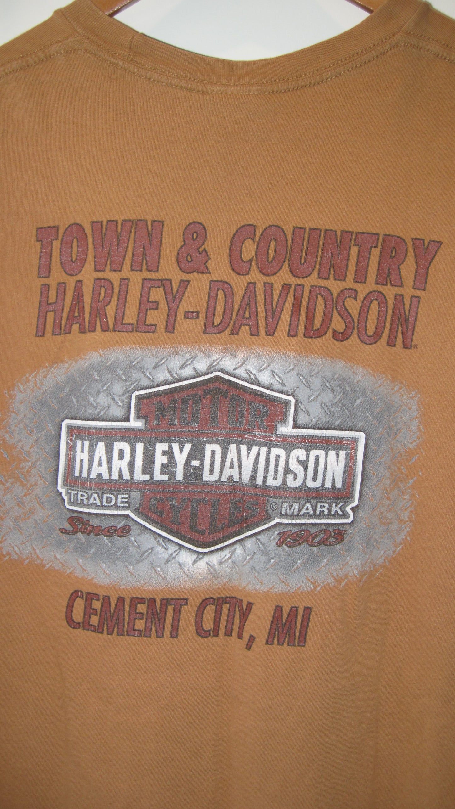 Size L | Harley Davidson Cement City Tee